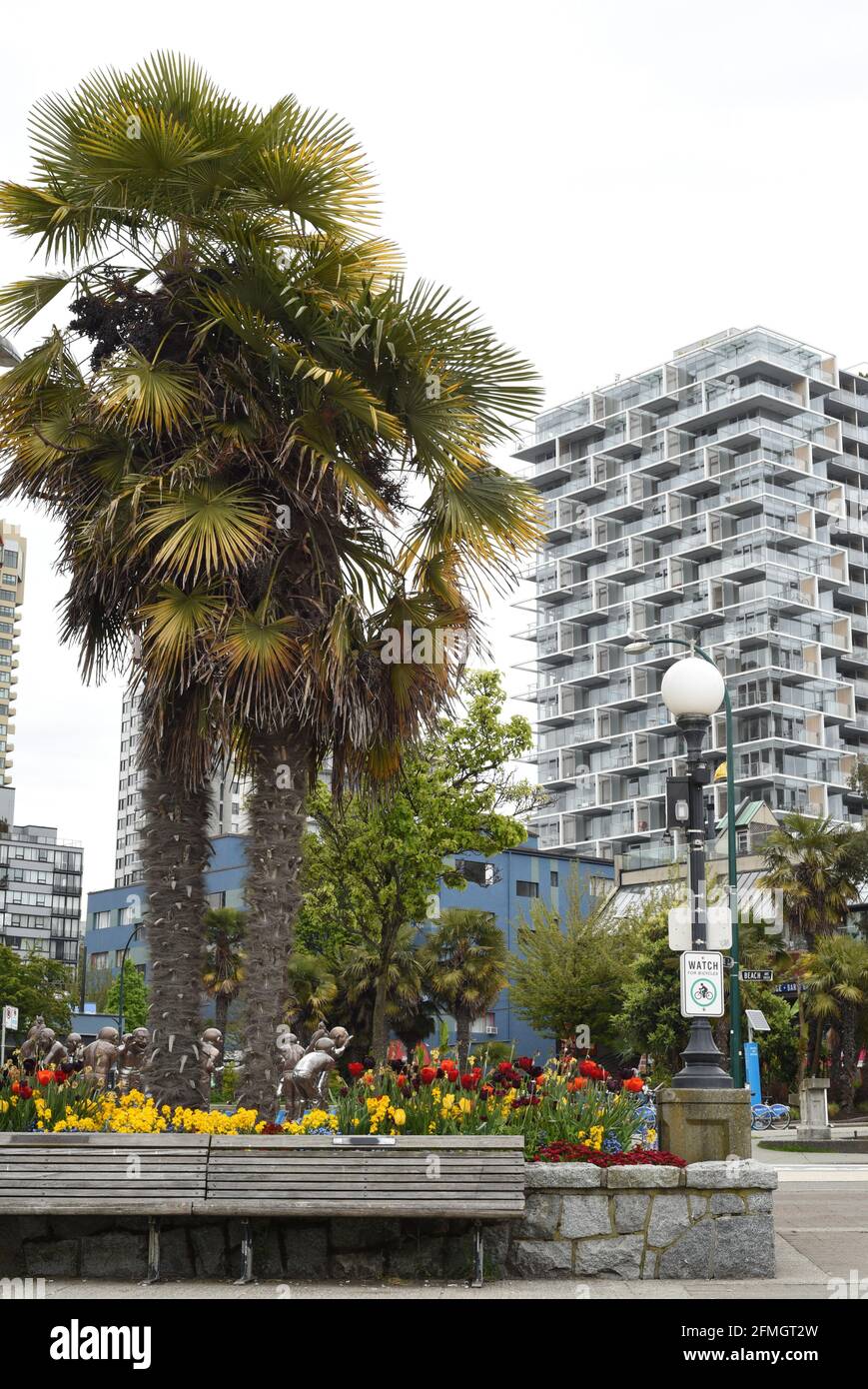 Palm tree, garden beds with flowers and condominium tower in the West