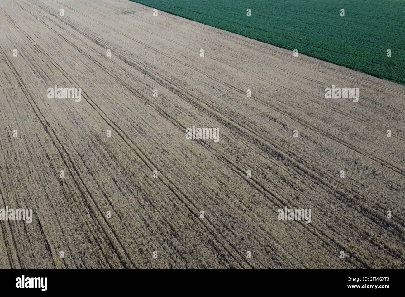 Farming fields from a bird's eye view. Agricultural landscape Stock