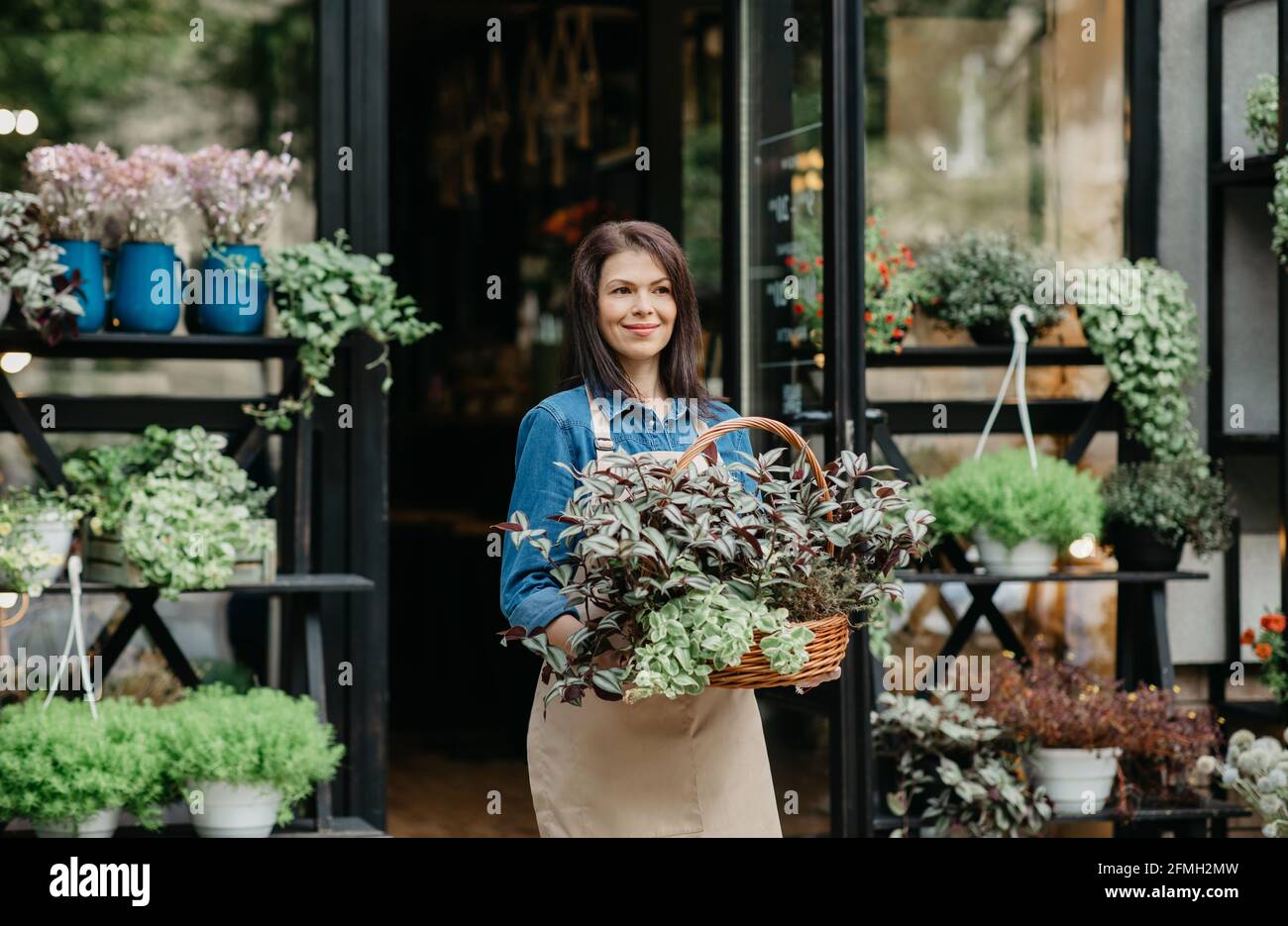 Growing ornamental plants for home, garden and bouquets Stock Photo Alamy