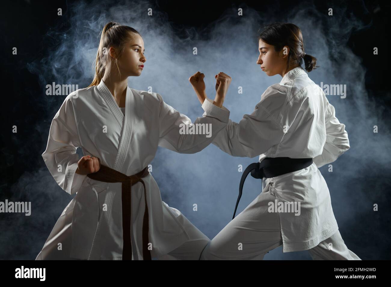 Female karate fighters, dark smoky background Stock Photo