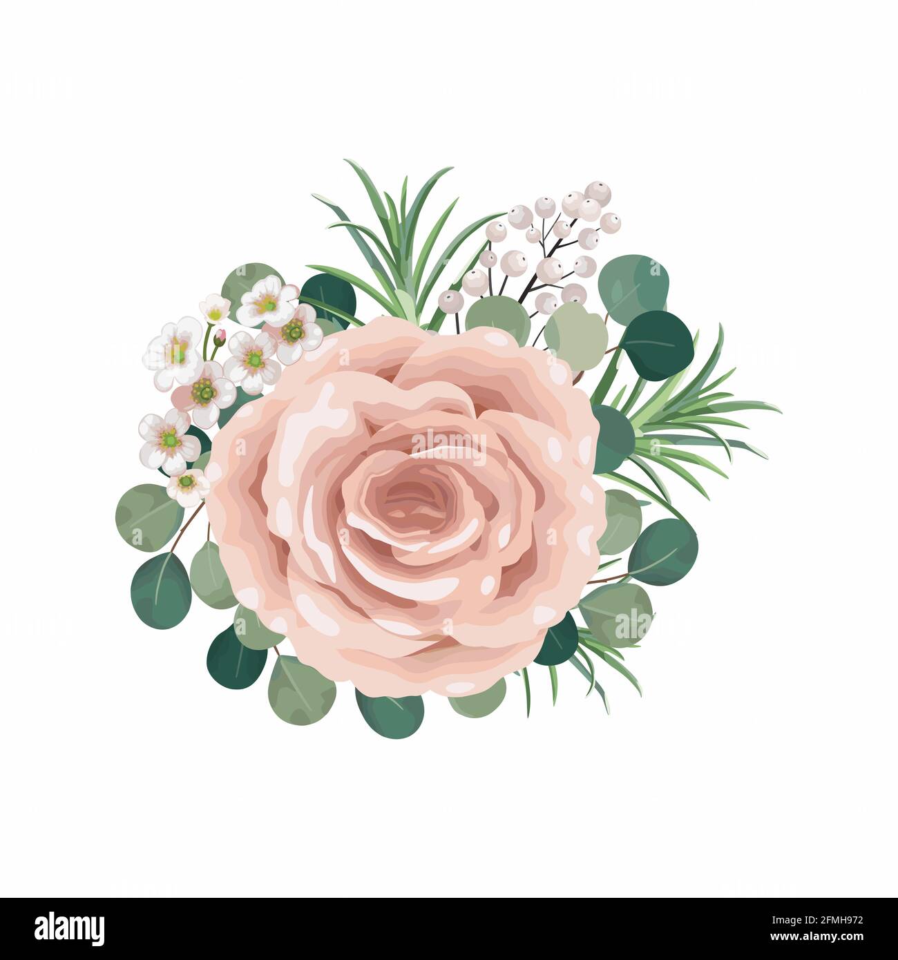 Dusty pink blush, white and creamy rose flowers vector design wedding bouquets. Eucalyptus, greenery. Floral pastel watercolor style. Blooming spring Stock Vector