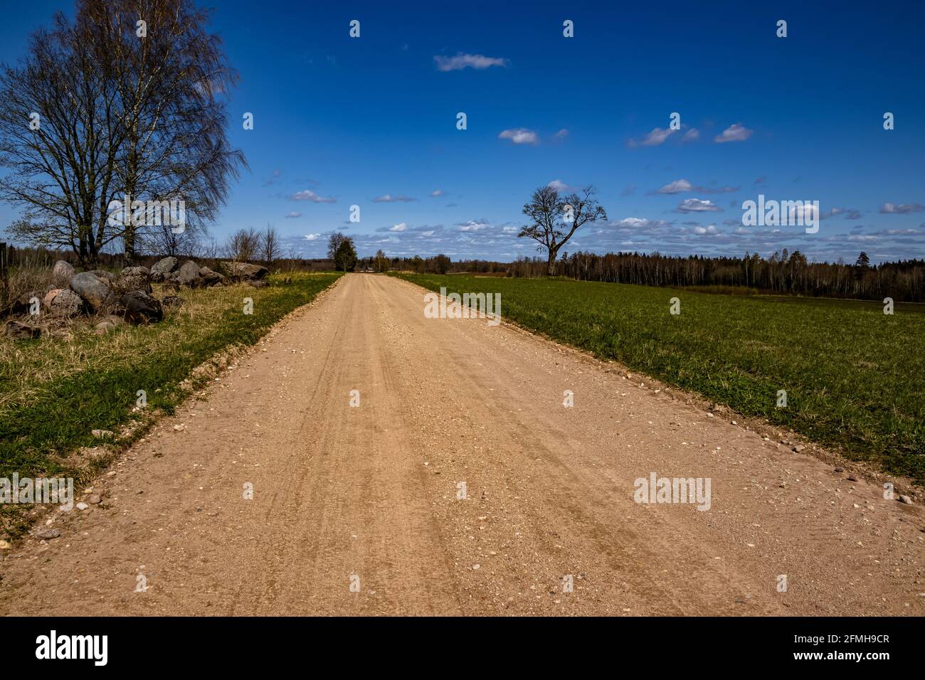 An empty dirt road through the countryside and grass field Stock Photo ...