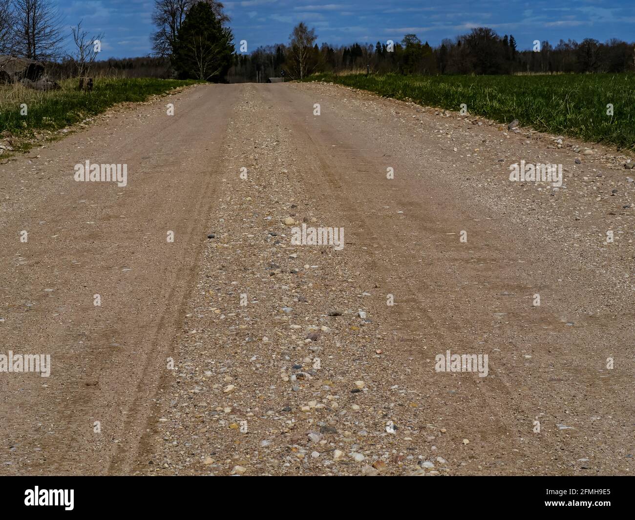 An empty dirt road through the countryside during daytime Stock Photo ...