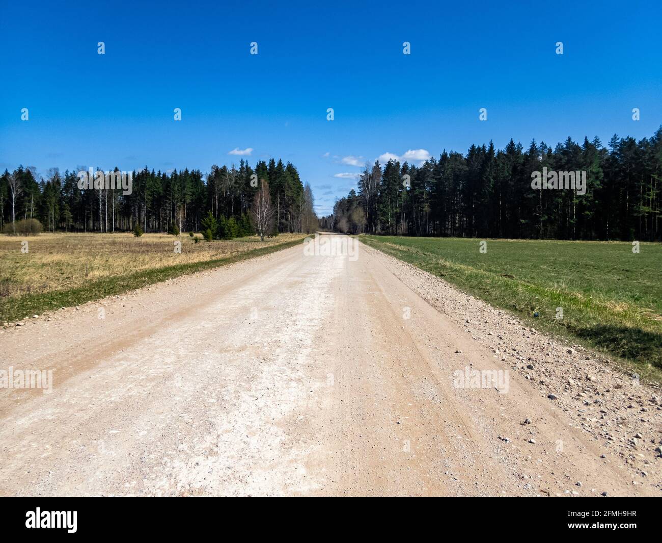 An empty dirt road through the countryside and grass field Stock Photo ...