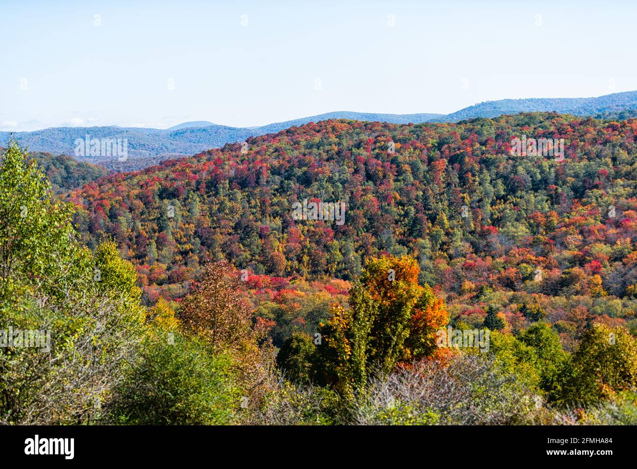 High angle aerial view on Cheat knob mountain in West Virginia Monongahela national forest Allegheny mountains overlook in autumn with colorful maple Stock Photo