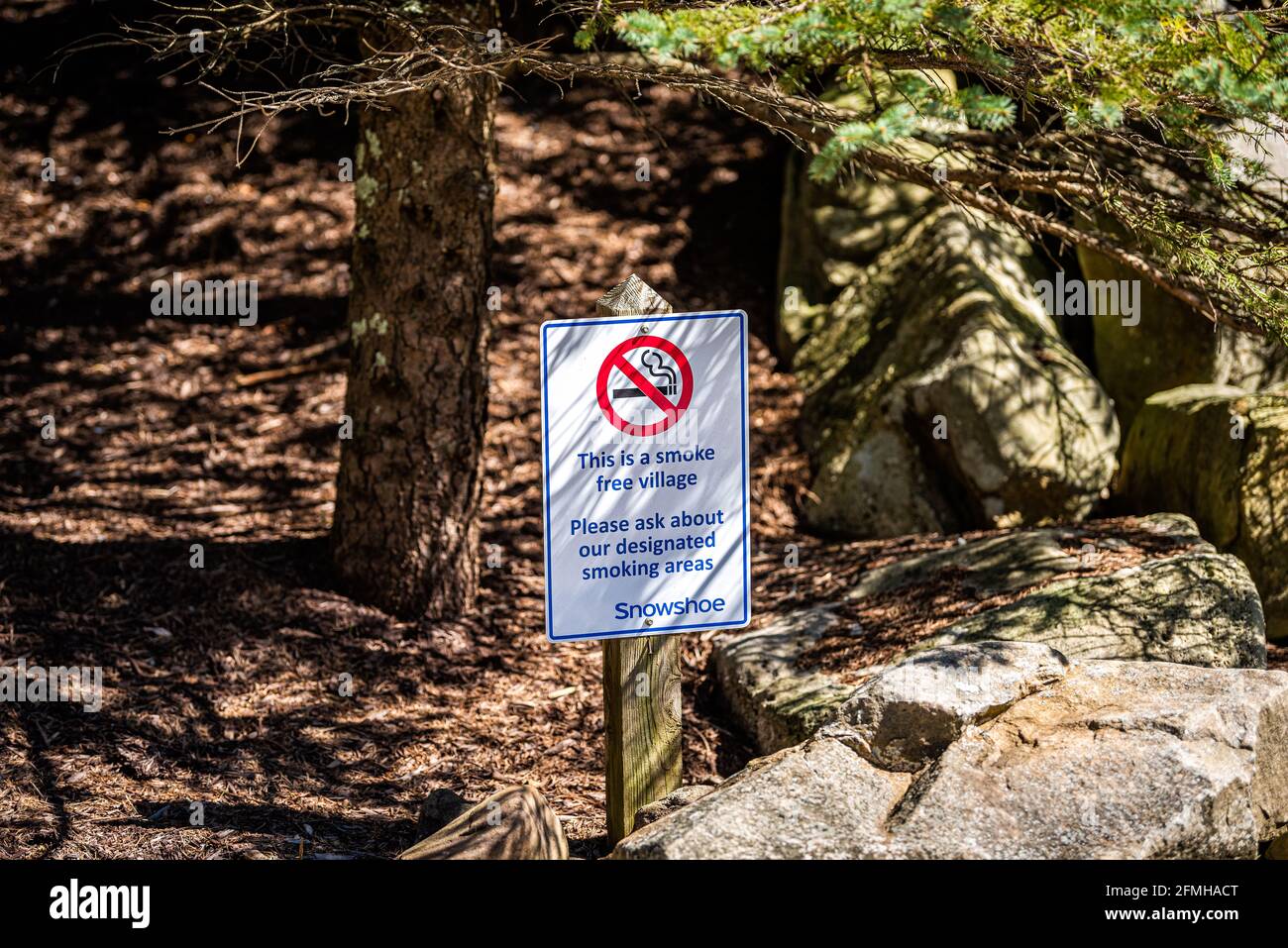 tobacco free woods Tobacco free sign hi-res stock photography and images