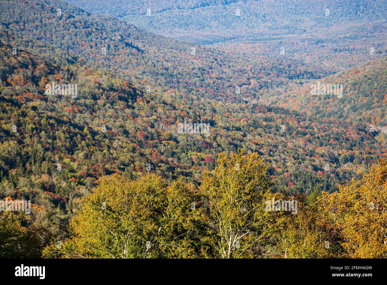High angle aerial view on West Virginia Allegheny highlands mountains