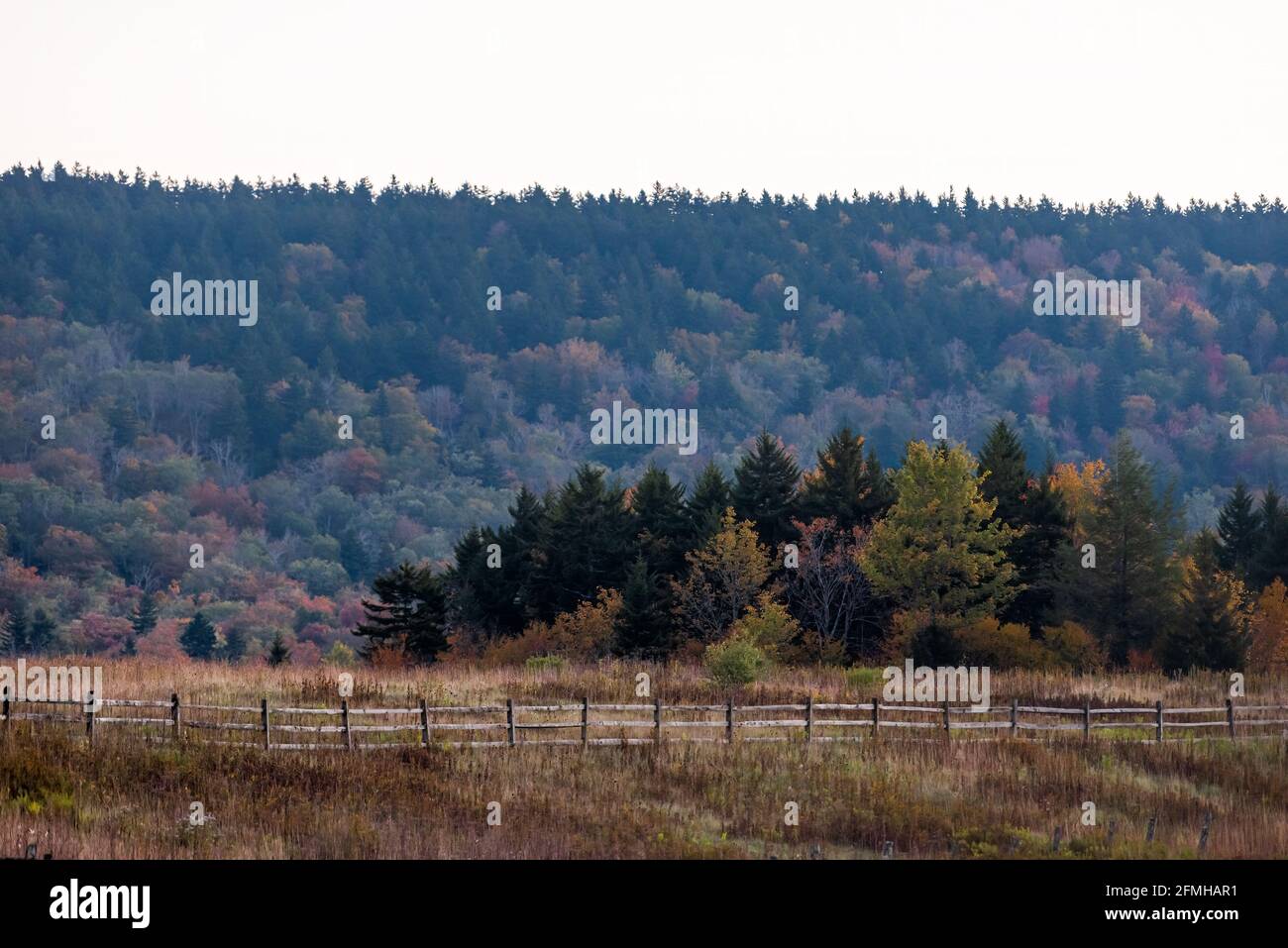 Countryside rural West Virginia Monongahela national forest Little