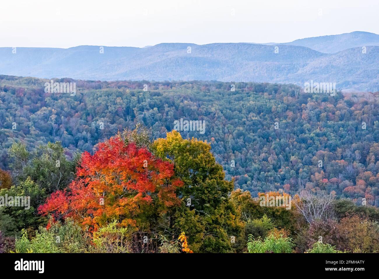 Monongahela national forest hires stock photography and images Alamy