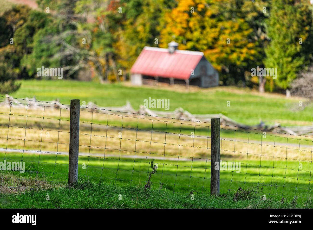 Barbed woven wire farming fence fencing at green grass farm field in ...