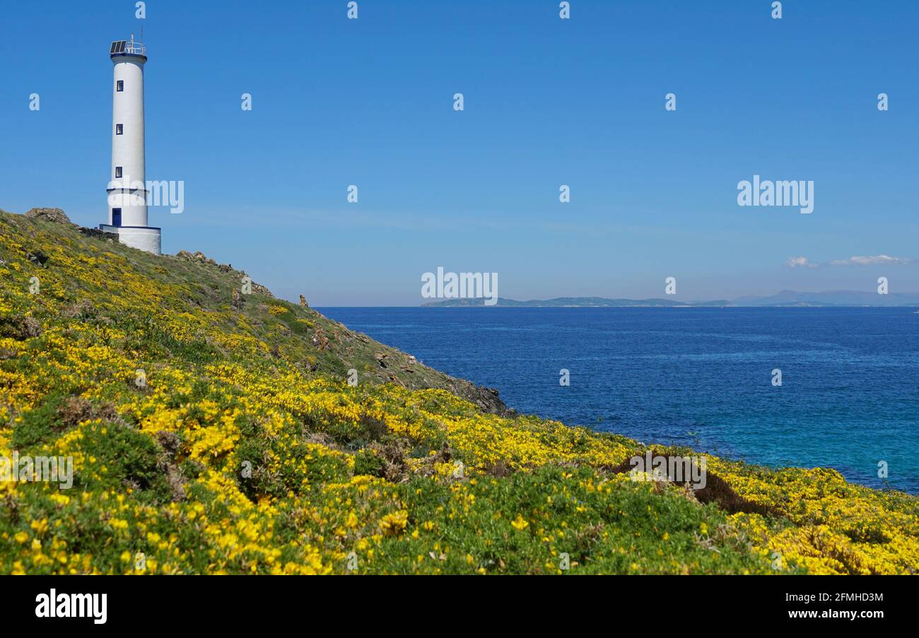 Lighthouse with gorse in flower on the coast of Galicia in Spain, Atlantic ocean, Pontevedra province, Cangas, Cabo Home Stock Photo