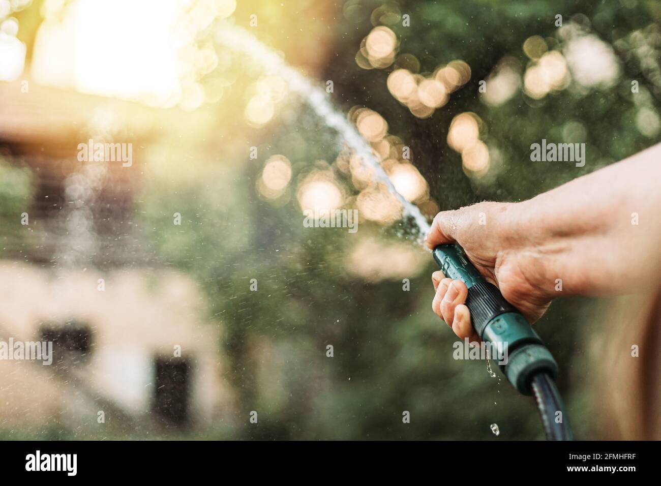 Watering garden with hose hires stock photography and images Alamy