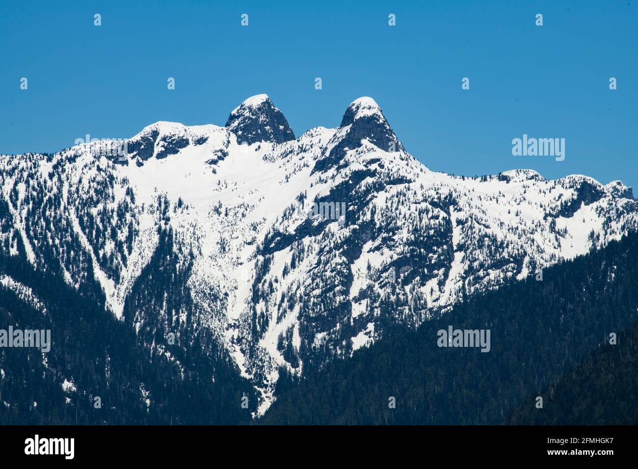 Vancouver's iconic twin peaks -The Lions, viewed from Capilano Regional Park in North Vancouver. Stock Photo