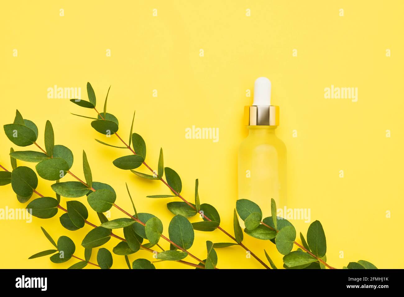 Yellow glass dropper bottle for medical and cosmetic use and eucalyptus ...