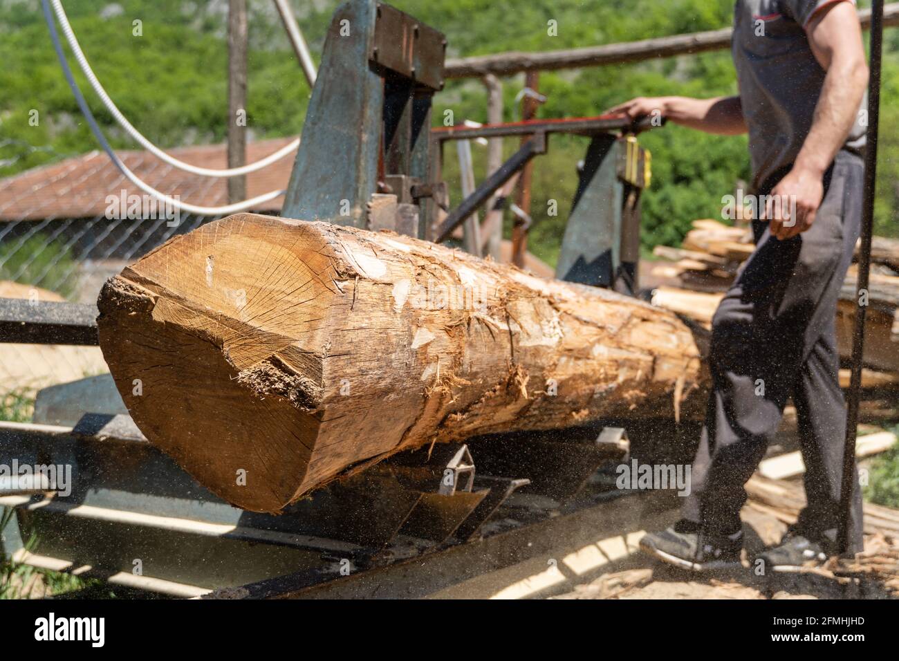 Putting log on the moving platform at sawmill ready to cut into planks sawmill industry wood