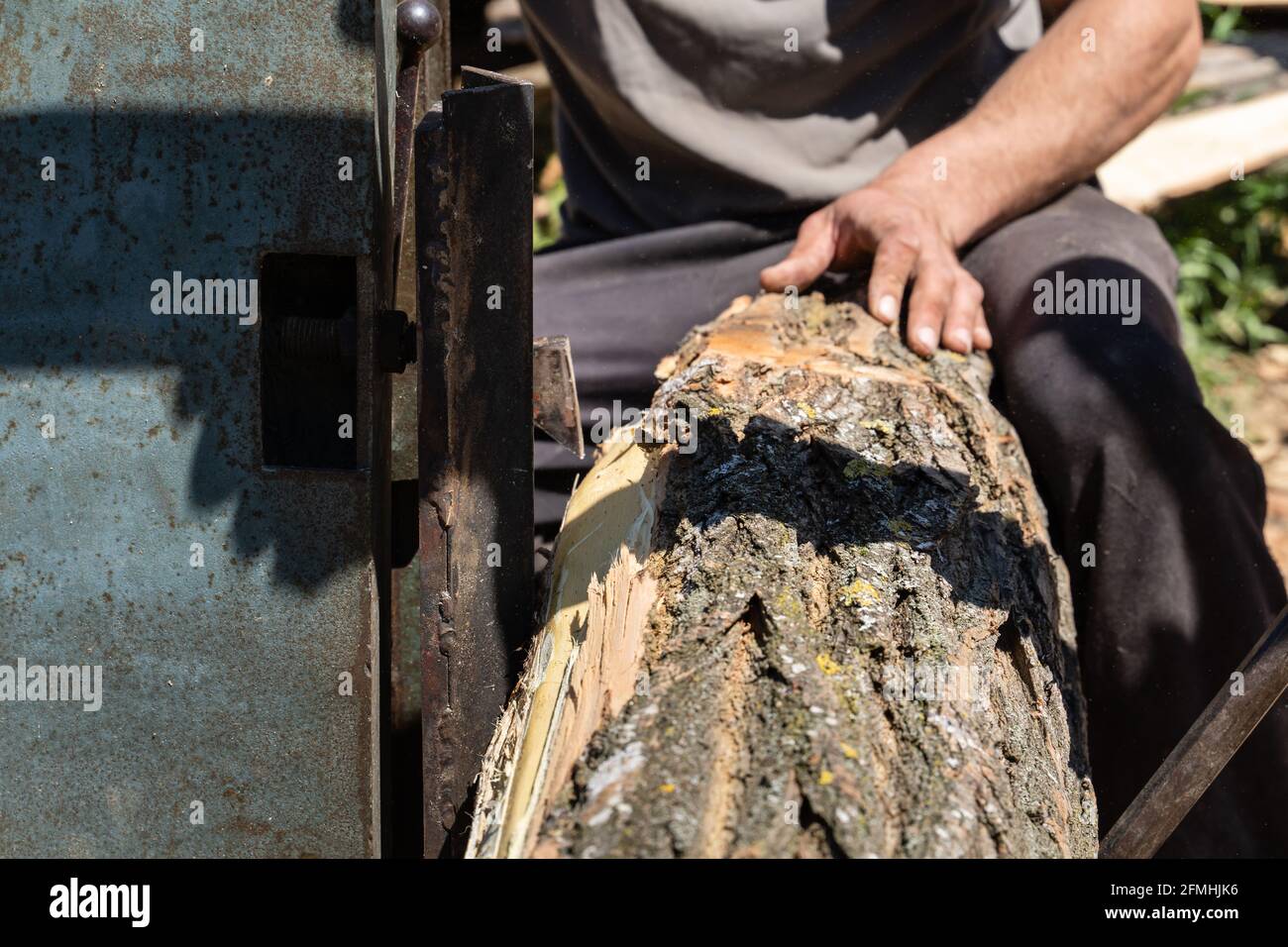 Putting log on the moving platform at sawmill ready to cut into planks sawmill industry wood