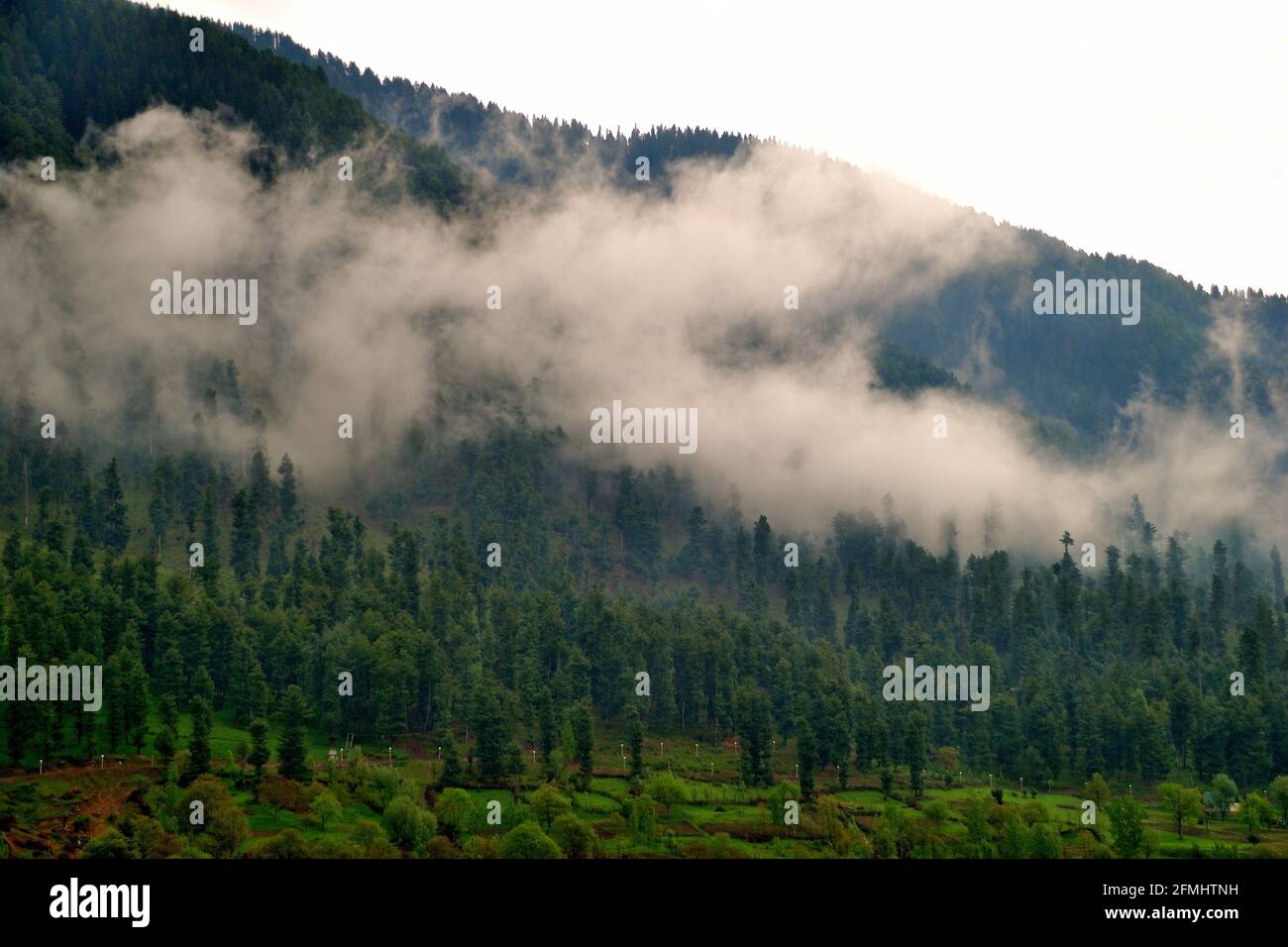 View of Himalayan mountain range, Pahalgam, Jammu & Kashmir, India Stock Photo