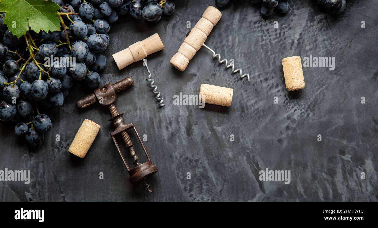 Many different corkscrews varieties with open wine corks on dark concrete background, black grapes. Degustation winetasting of wines drink. Corkscrews Stock Photo