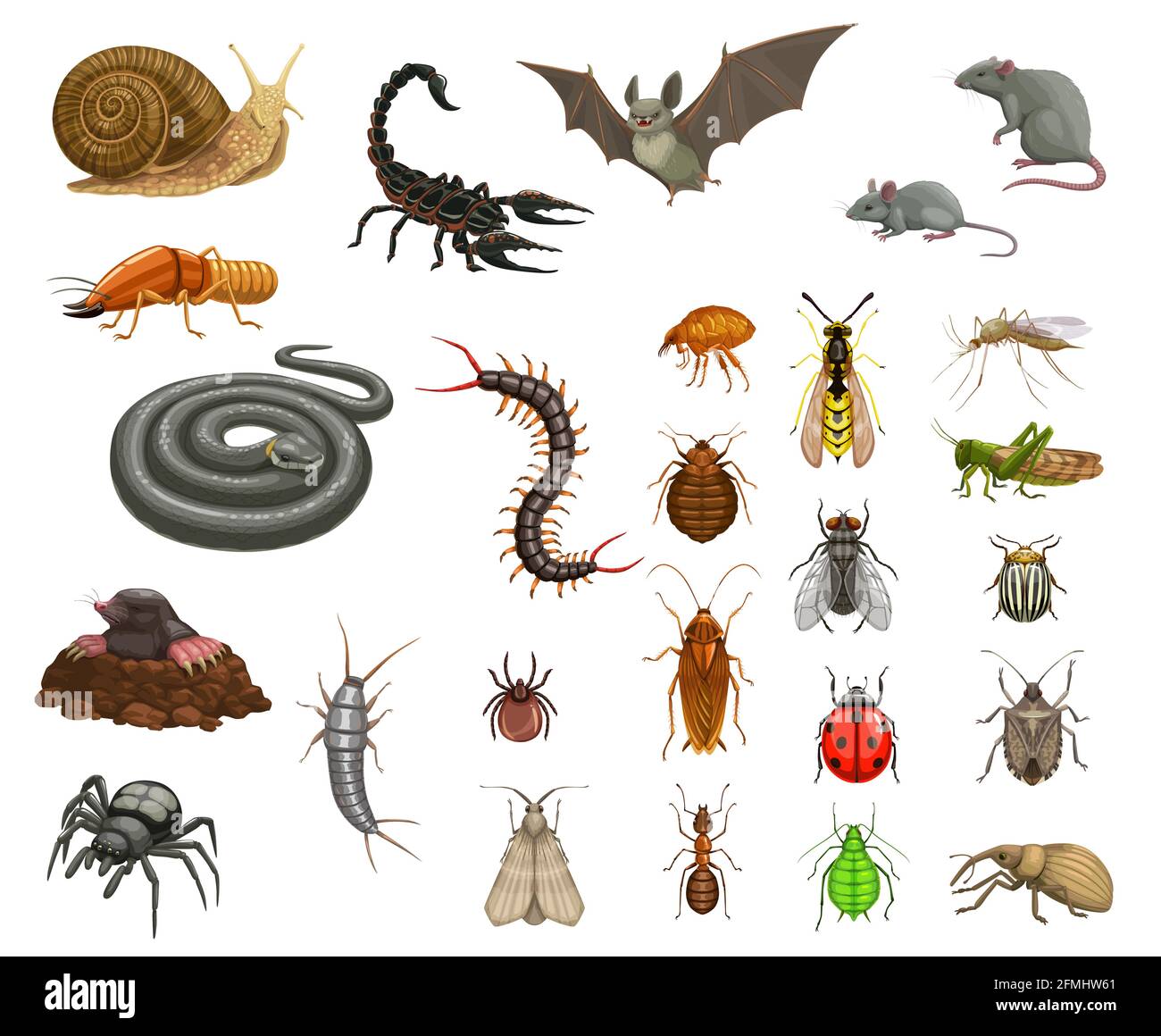 Pests insects disinfection, animals deratization. Cartoon vector snail, scorpion and bat, mouse, rat and termite, snake, centipede and flea, bedbug, f Stock Vector Image & Art - Alamy Pests insects disinfection, animals deratization. Cartoon vector snail, scorpion and bat, mouse, rat and termite, snake, centipede and flea, bedbug, f Stock Vector Image & Art - Alamy