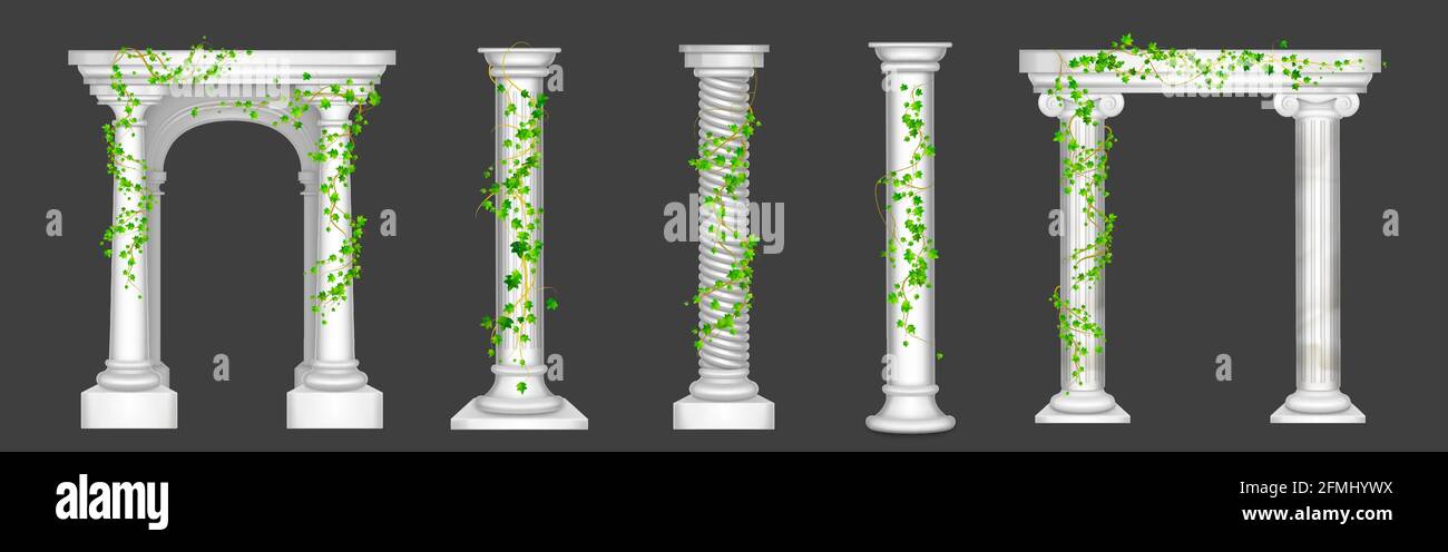 Ivy on marble columns and arches, vines with green leaves climbing on antique stone pillars, creeper plant on decorative greek or roman architecture design elements, Realistic 3d vector illustration Stock Vector