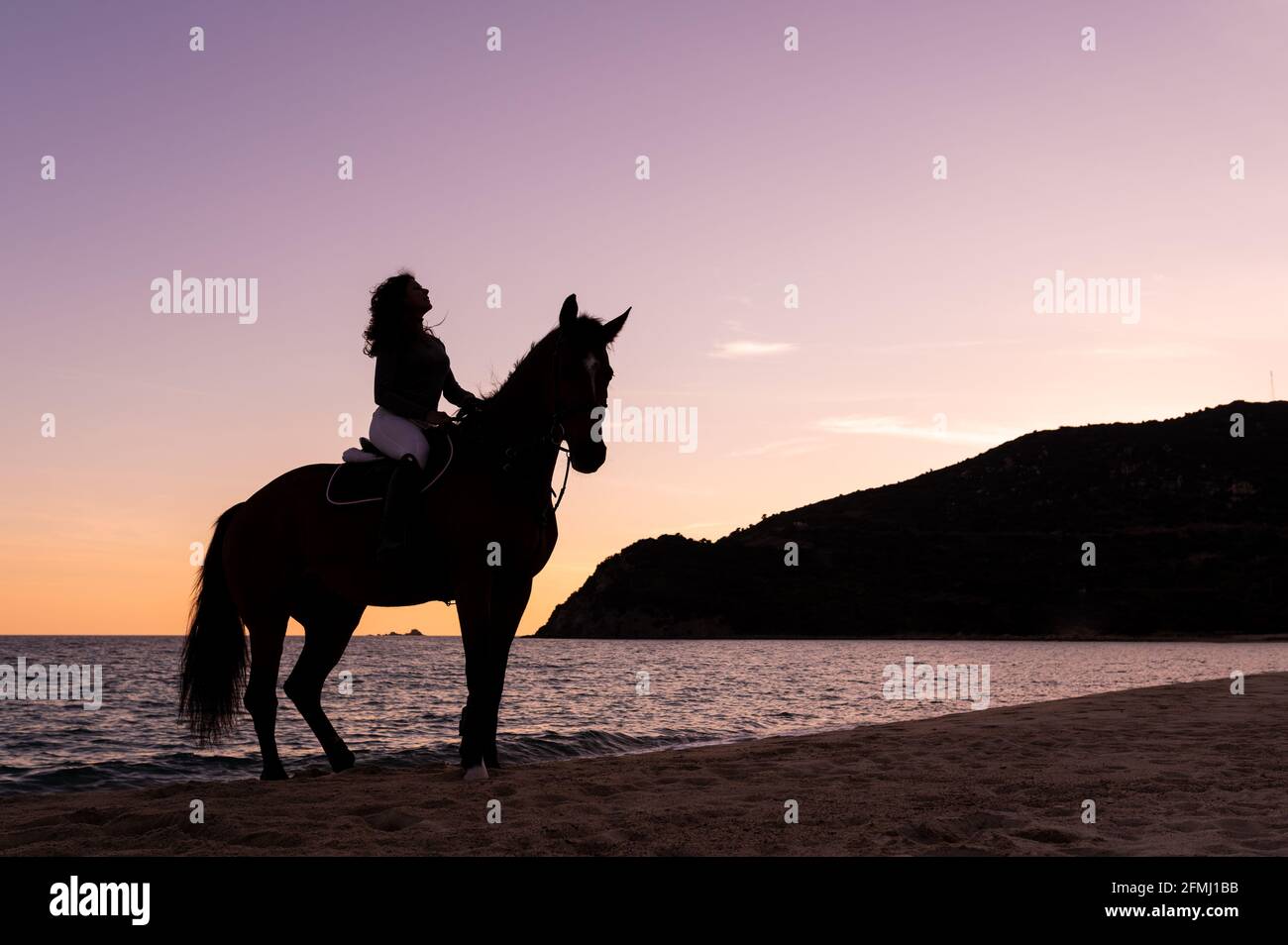 Side view of young female silhouette on mare contemplating ocean from sandy shore at sundown Stock Photo