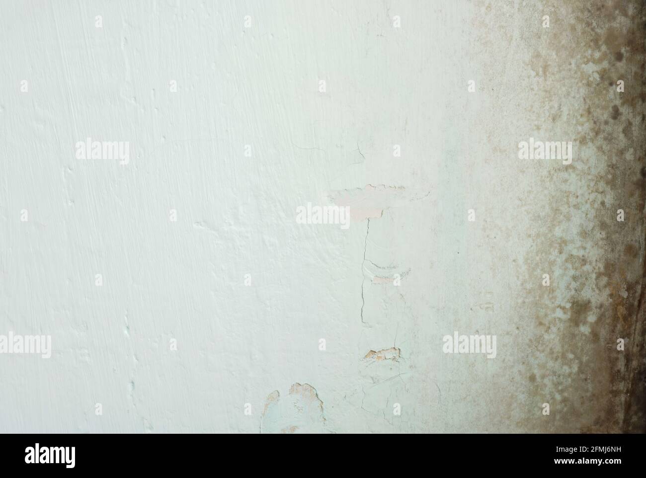 Old white wall with black mold. Background with empty space. Stock Photo