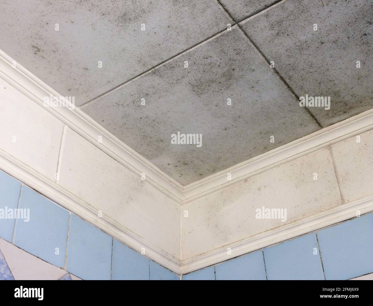 Bathroom ceiling covered with black mold. House inspection. Stock Photo