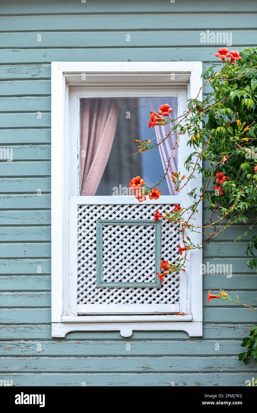 classic Turkish Ottoman style windows detail Stock Photo