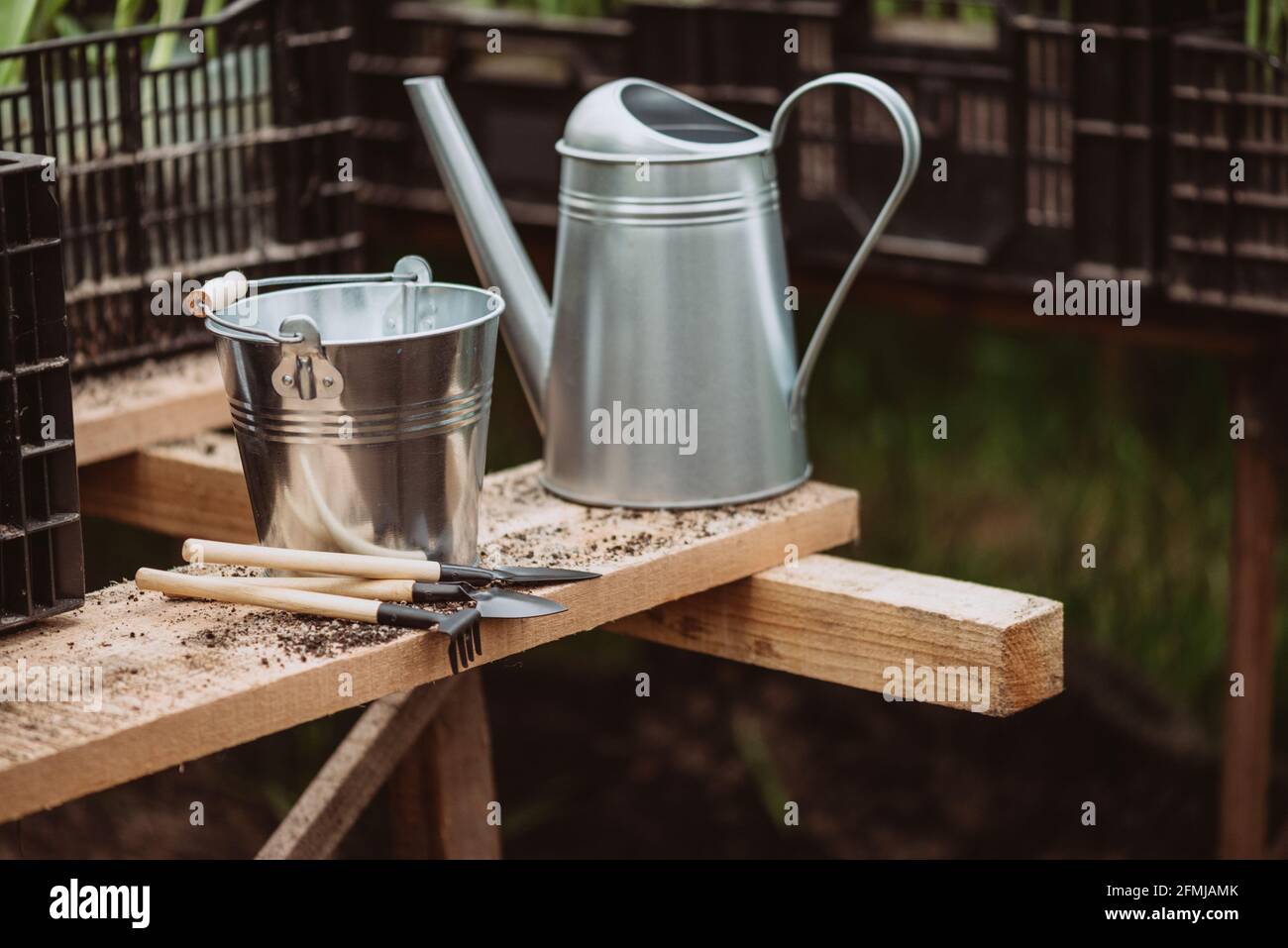 Gardening tools, watering can and straw hat on soil background. Spring