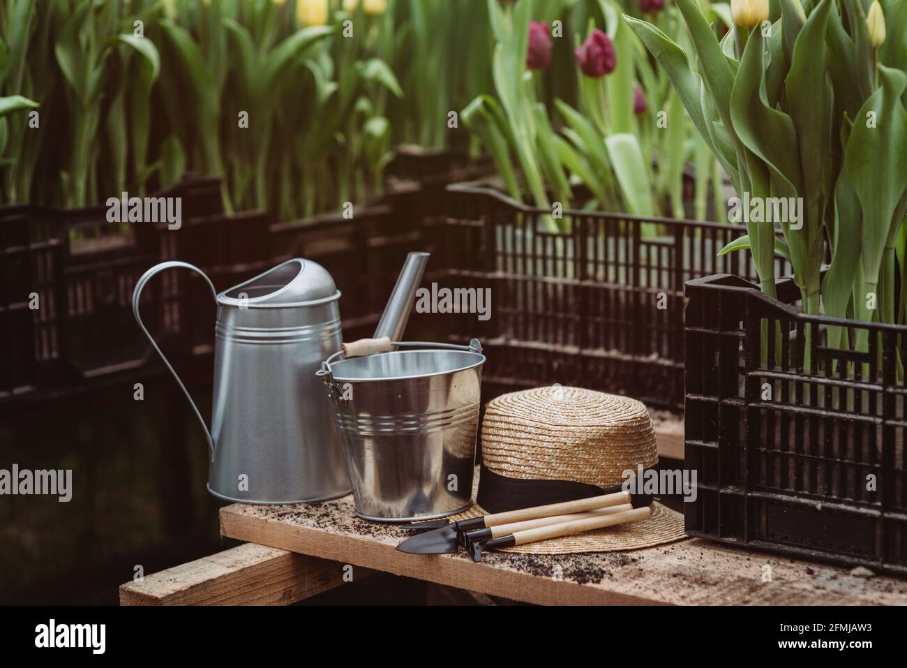 Gardening tools, watering can and straw hat on soil background. Spring