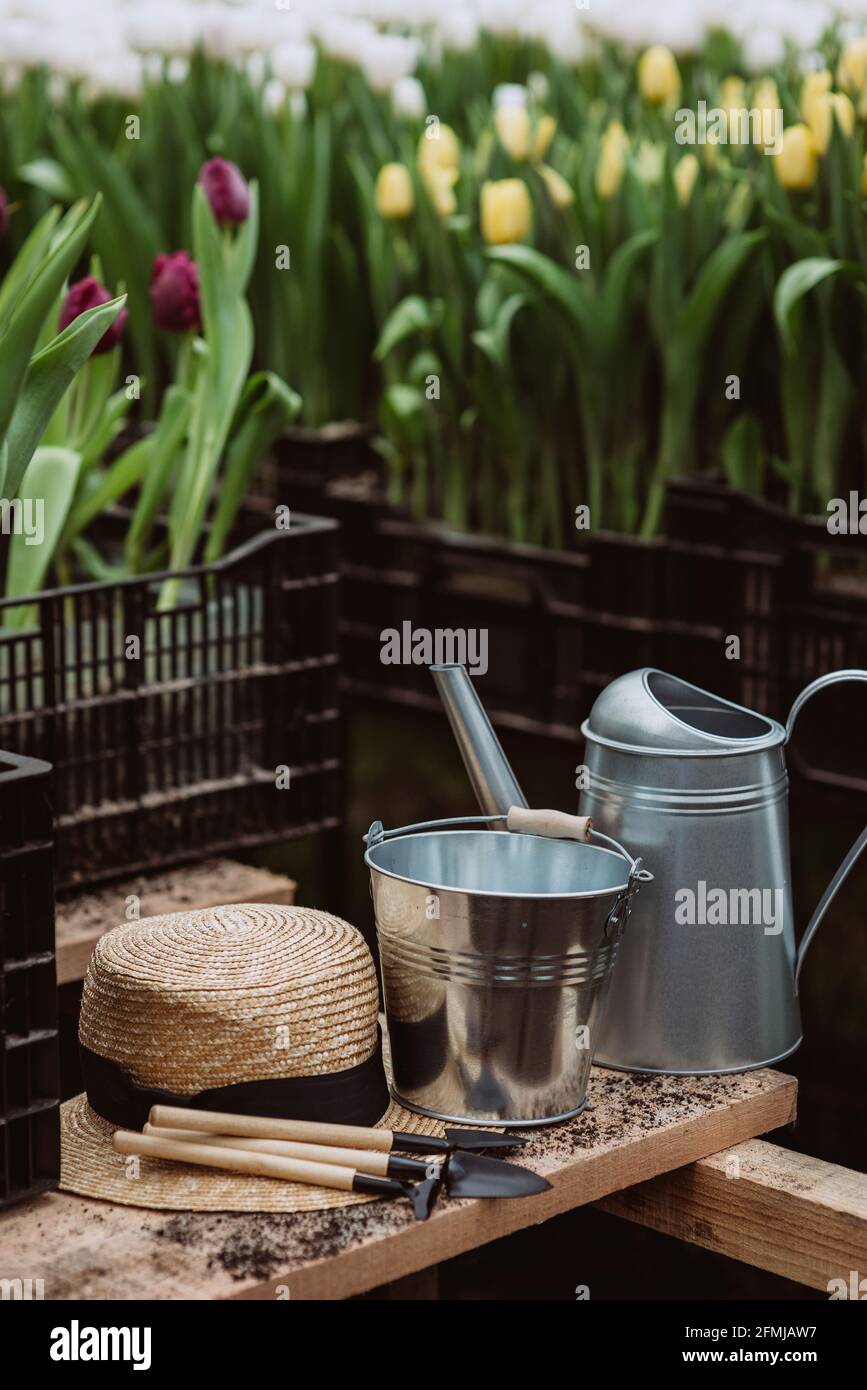 Gardening tools, watering can and straw hat on soil background. Spring