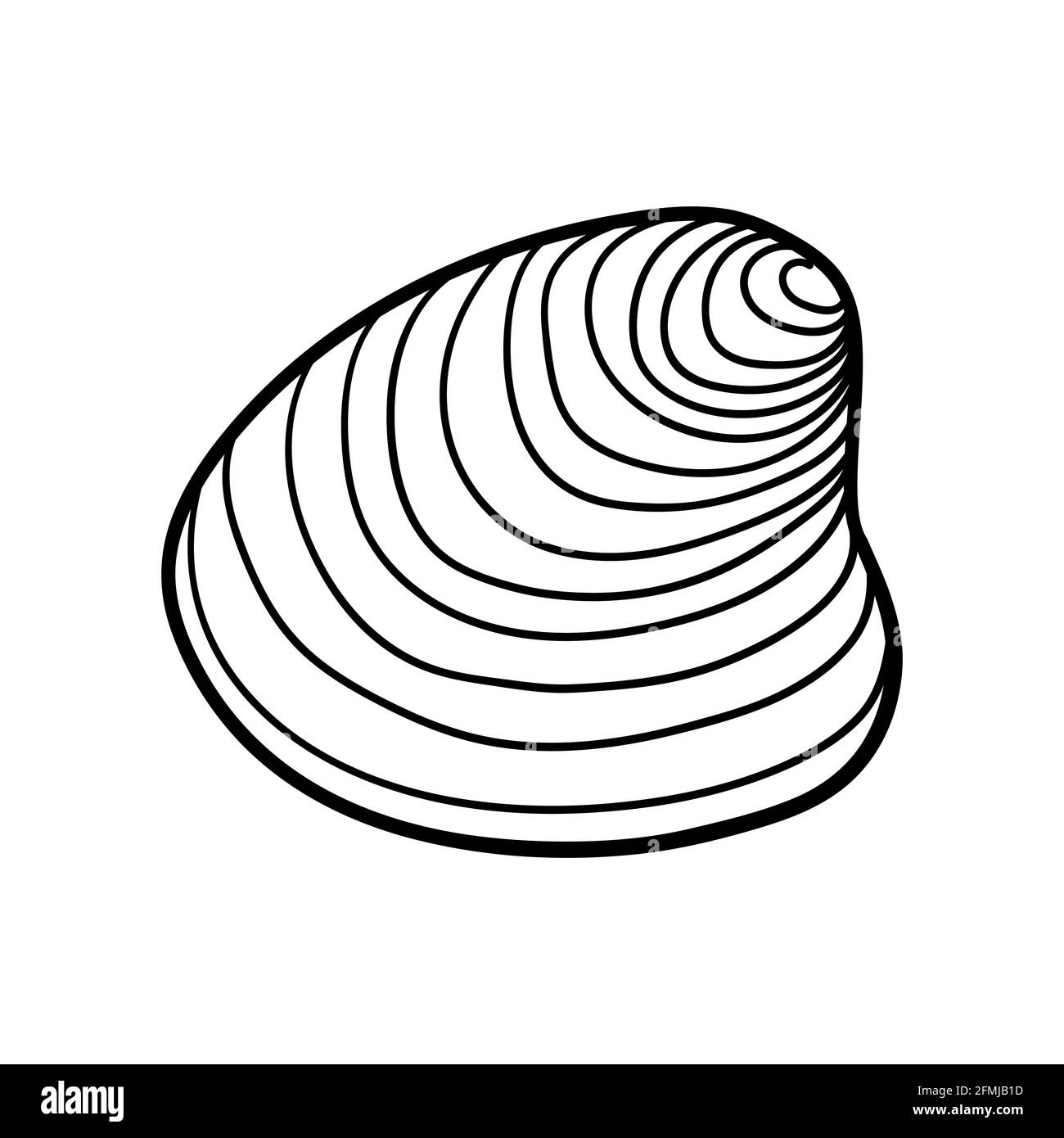 Hand-drawn clam shell of engraved line. Design element for invitations, greeting cards, posters, banners, flyers and more.Vector illustration isolated Stock Vector