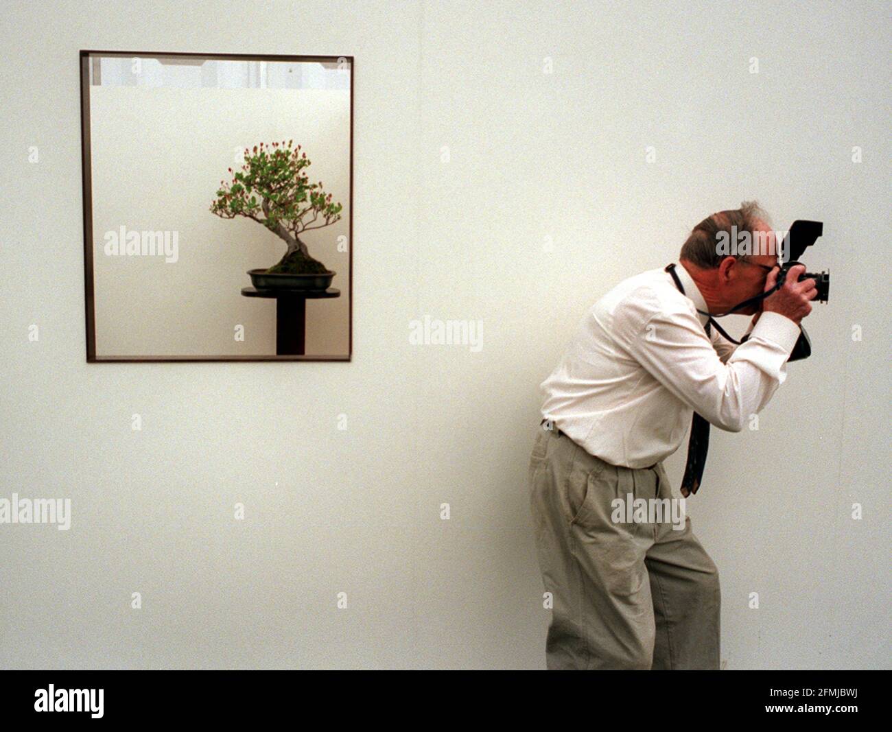 PRESS DAY AT THE CHELSEA FLOWER SHOW MAY 2000 ONE OF THE EXHIBITORS PHOTOGRAPHING HIS STAND, NEXT TO  A STAND DISPLAYING 'PENJING', FROM CHINA, WHICH ARE THE ORIGIANL TREES THAT BONSAI STARTED FROM Stock Photo