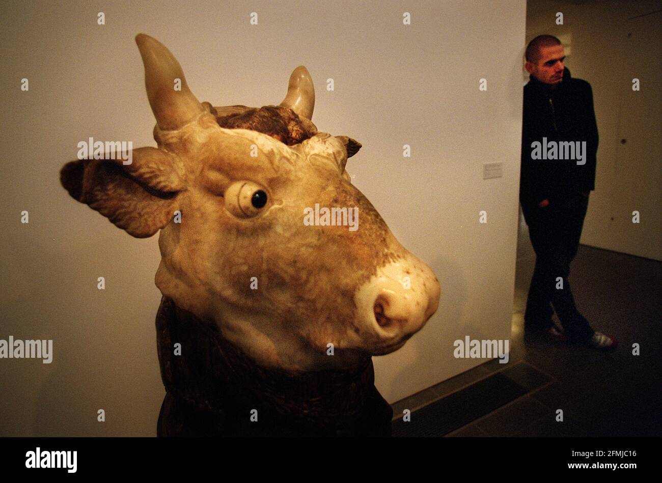 head of an ox italian 1750-1800 , part of the give and take 'exhibition at tha Serpentine Gallery which is teaming up with the v&a for the project. 29/1/01 pilston. Stock Photo