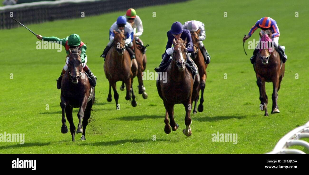 THE JUDDMONTE INTERNATIONAL FINALS (L-R) KALANISI AND WINNER GIANT'S CAUSEWAY STAKES AT YORK. Stock Photo