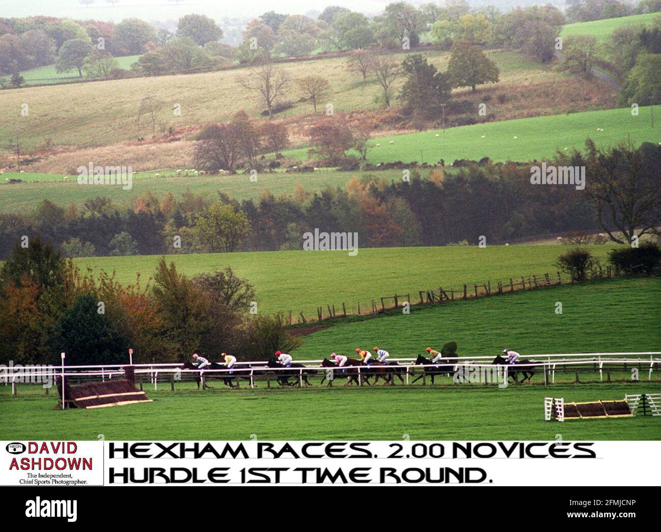Horses and jockeys ply their trade in the scenic surroundings of Hexham Races where 200 novices jump the hurdle first time round Stock Photo