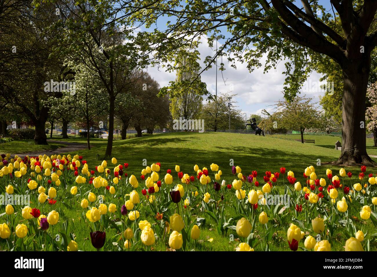 Greyfriars Green in spring, Coventry, West Midlands, England, UK Stock Photo