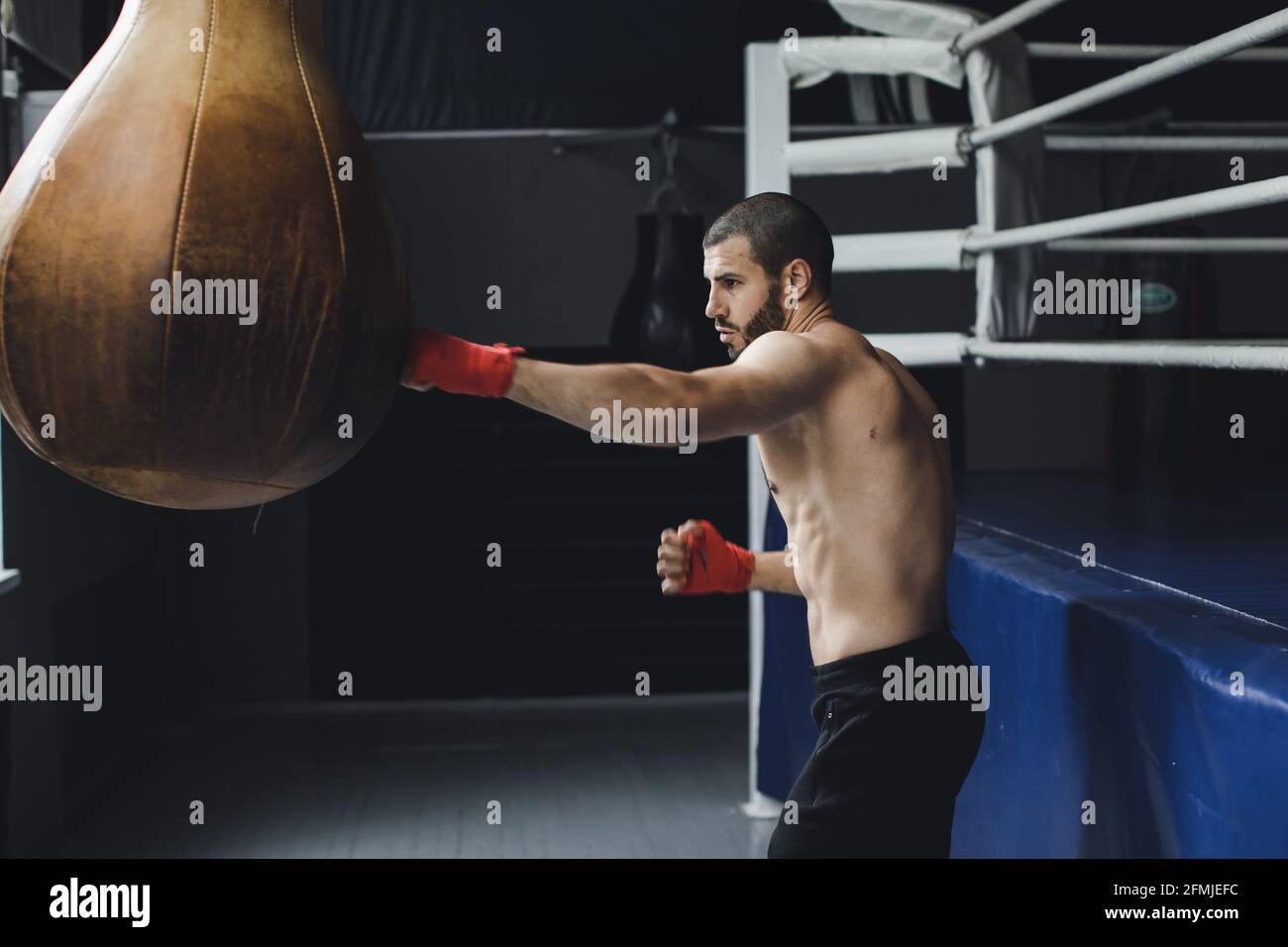 Fighter Practicing Some Kicks With Punching Bag. Kick, punching bag on