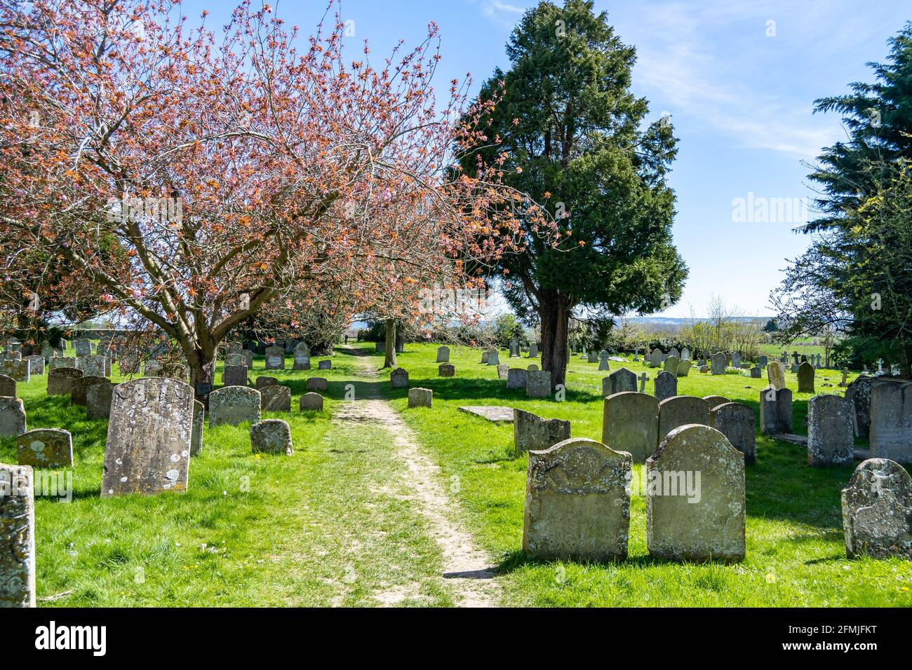 Old english cemetery in spring with green grass, bloomig flowers around