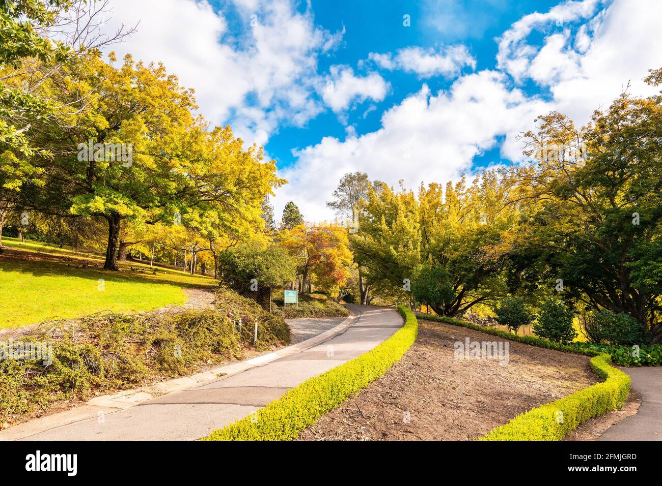 Pathway in Mount Lofty Botanic Garden during autumn season on a bright sunny day, Crafers, Adelaide Hills, South Australia Stock Photo
