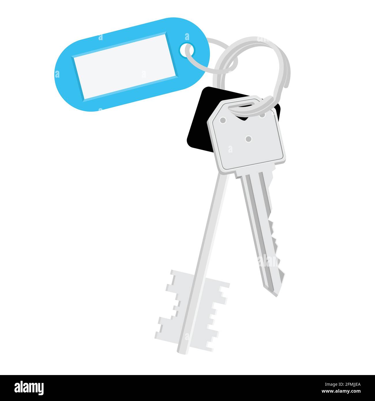 Vector illustration blank blue tag and keys. Bunch of keys with