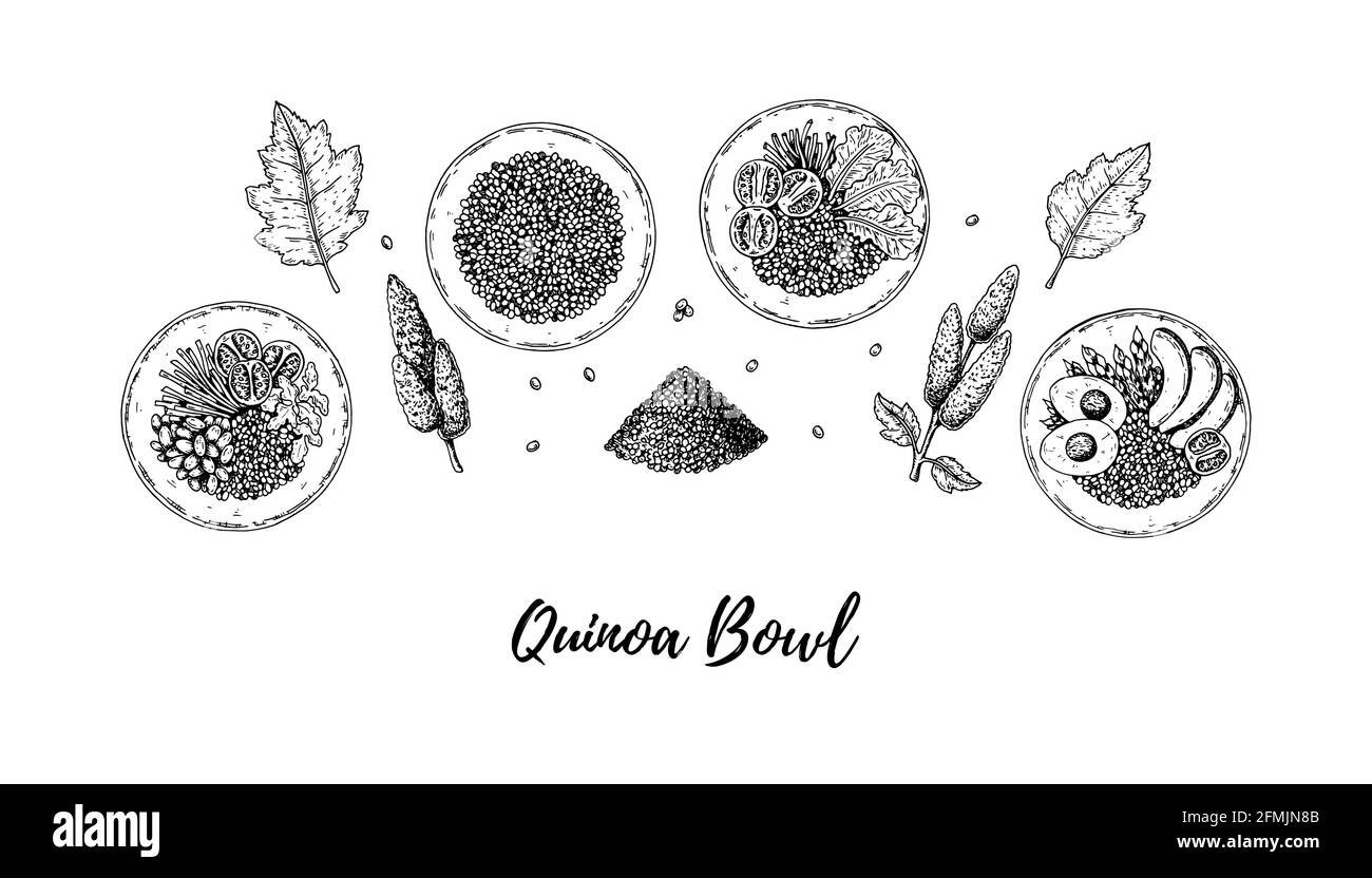 Set of hand drawn quinoa bowls and salad. Vector illustration in sketch style Stock Vector