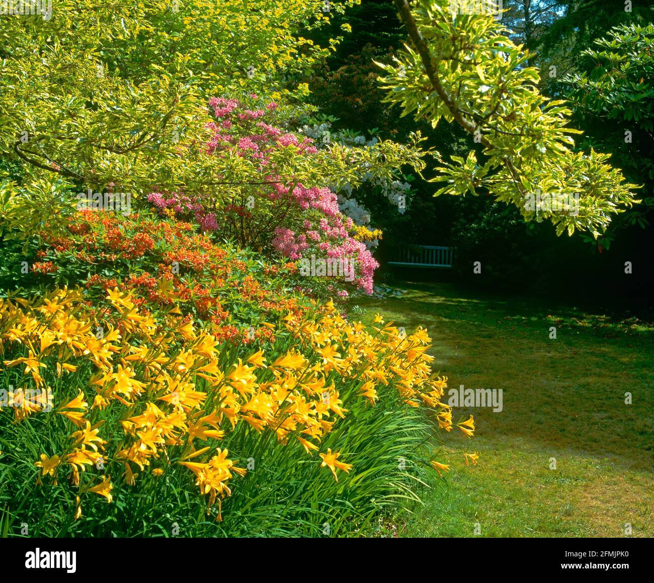 spring garden detail Stock Photo - Alamy