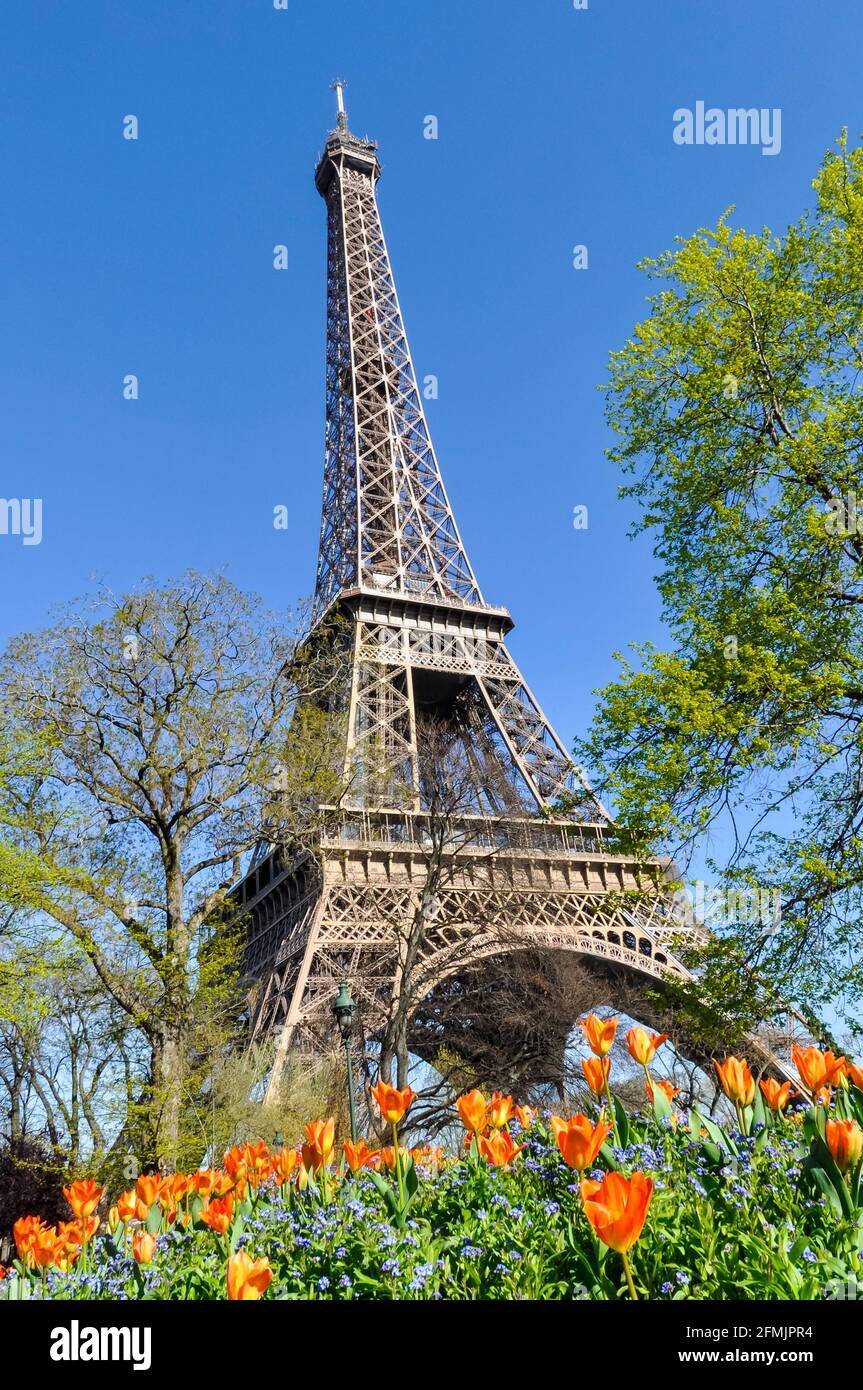 The Eiffel Tower in Paris, France Stock Photo