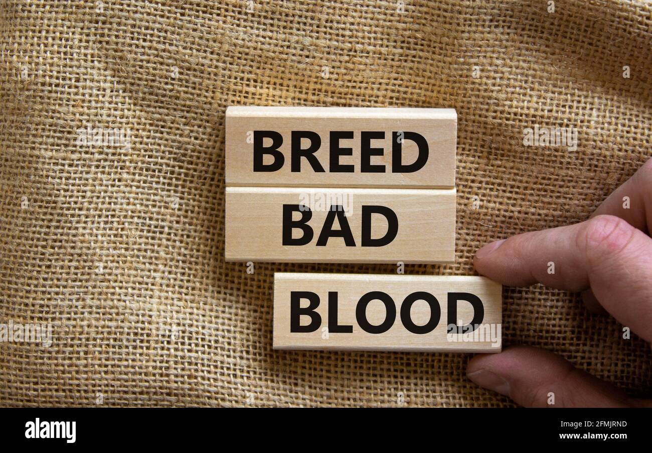 Breed bad blood symbol. Businessman holds wooden block with words