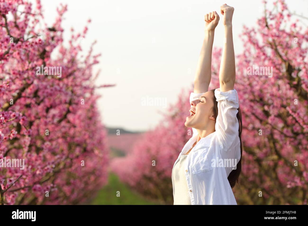 Excited woman raising arms celebrating spring in a pink flowered field Stock Photo