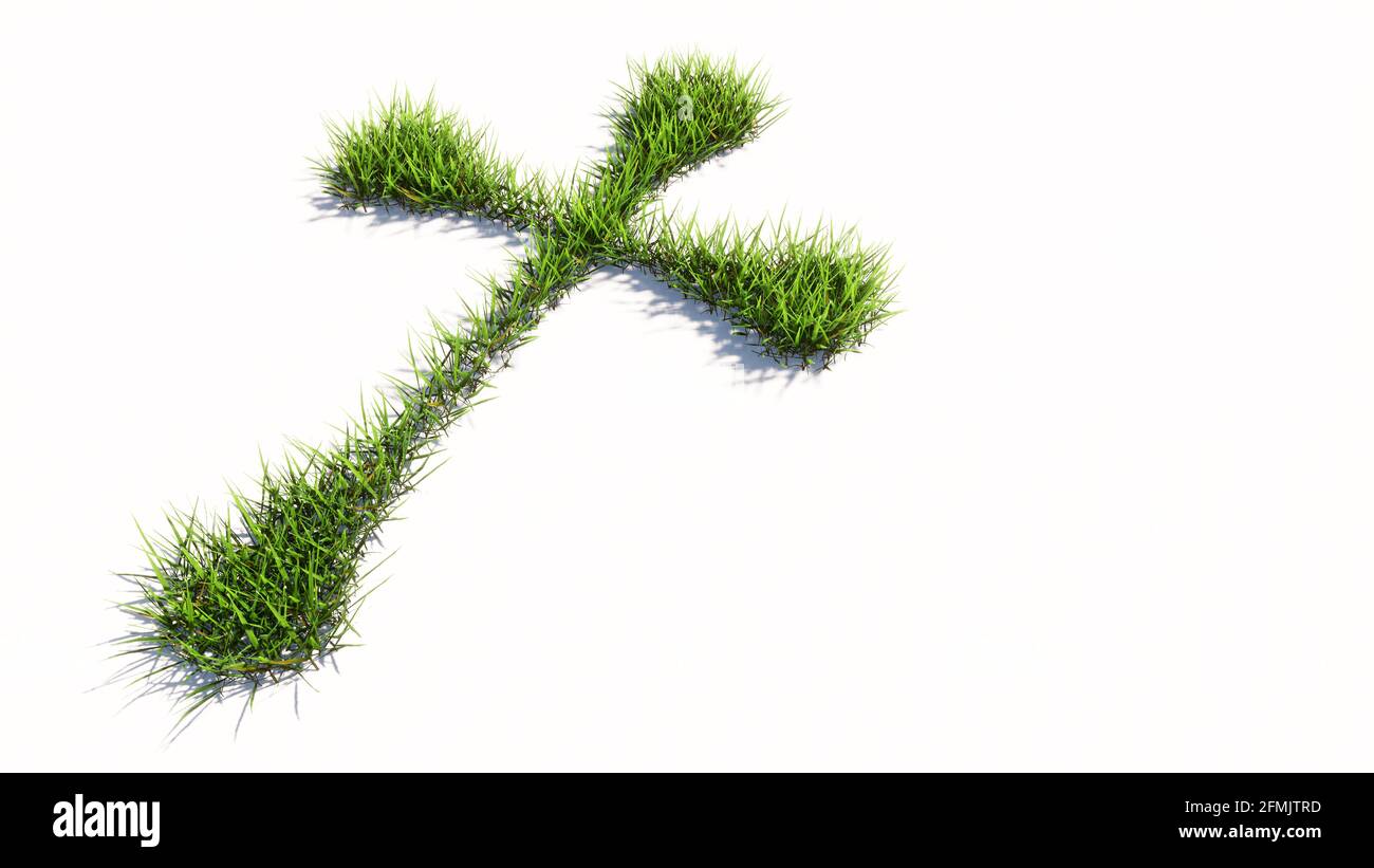 Concept or conceptual green summer lawn grass isolated on white background, sign of religious christian cross. Stock Photo