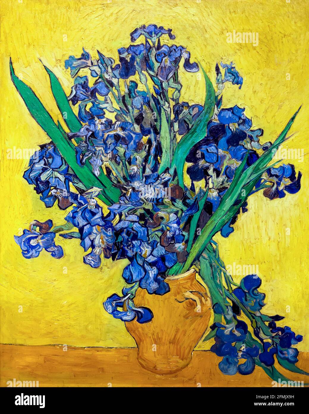 Irises, Vincent van Gogh, 1890, oil on canvas Stock Photo - Alamy