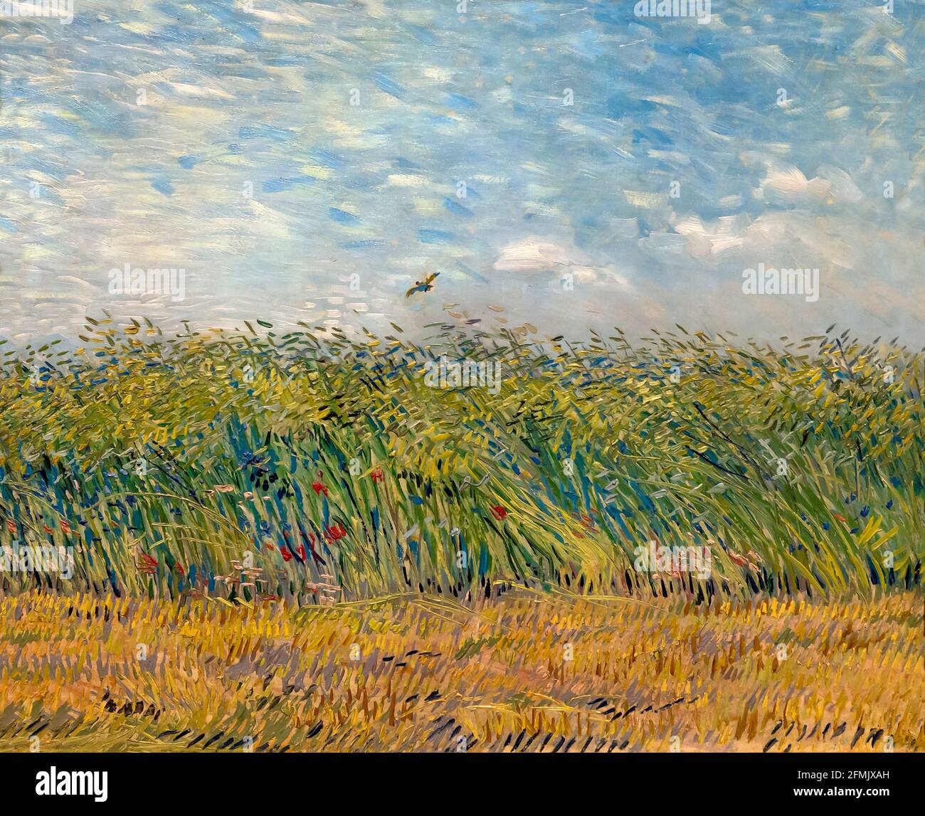 Wheat Field with a Lark,  Vincent van Gogh, 1887 Stock Photo