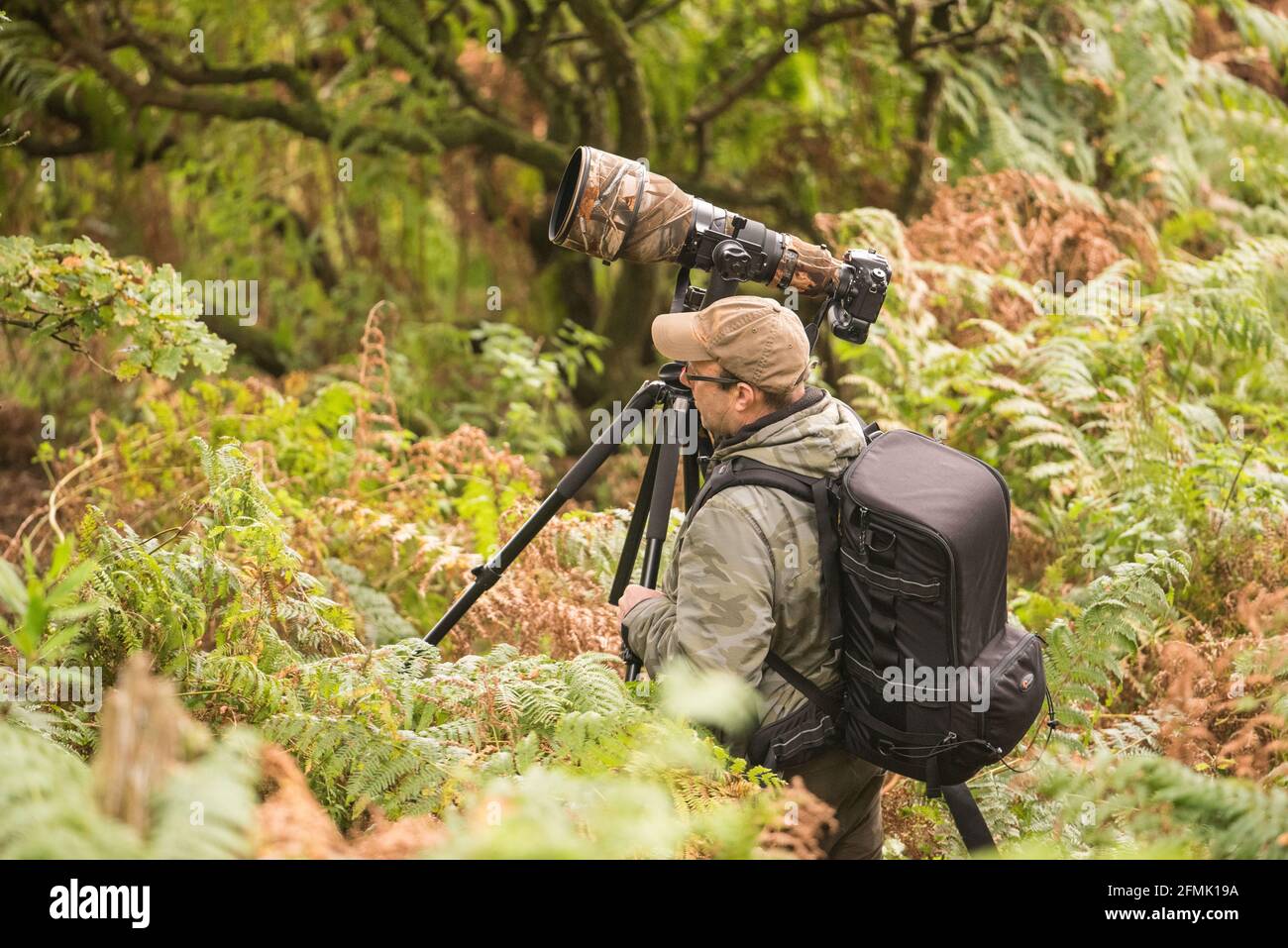 Photographer wales hi-res stock photography and images - Alamy